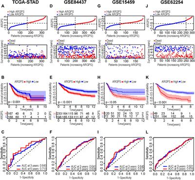 Construction of an original anoikis-related prognostic model closely related to immune infiltration in gastric cancer